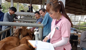 ครอบครัวปศุสัตว์ จัดกิจกรรมตรวจสุขภาพสัตว์ ณ ศูนย์วิจัยและบำรุงพันธุ์สัตว์ประจวบคีรีขันธ์